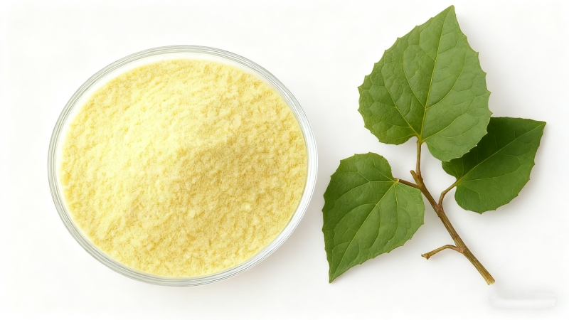 Icariin Derivative CAS 1067198-74-6