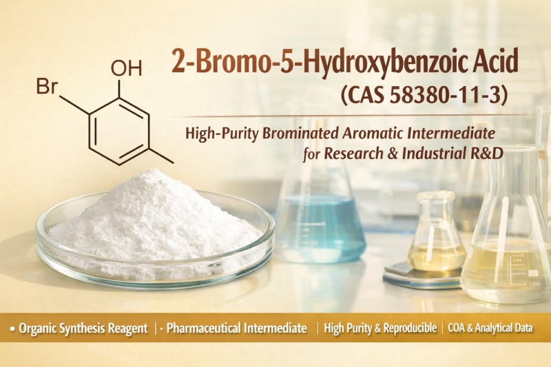 2-Bromo-5-Hydroxybenzoic Acid (CAS 58380-11-3): A High-Purity Aromatic Intermediate for Research and Industrial R&D